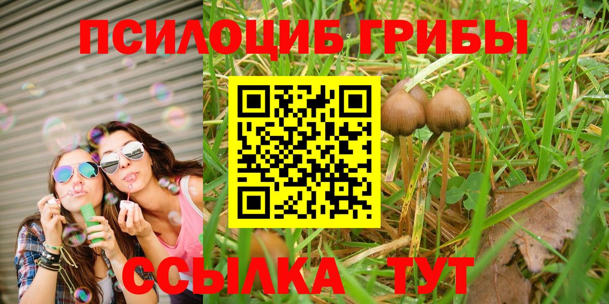 Галлюциногенные грибы мицелий  Вход с VPN  Псилоцибиновые грибы Psilocybine cubensis  что такое наркотик  Вятские Поляны 